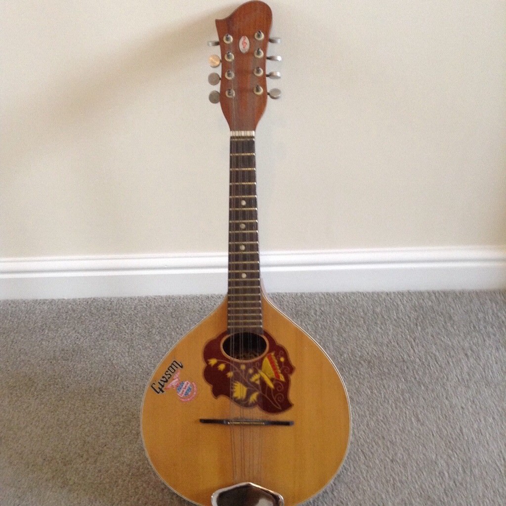 MANDOLIN 8 String FOR SALE in St Helens, Merseyside Gumtree