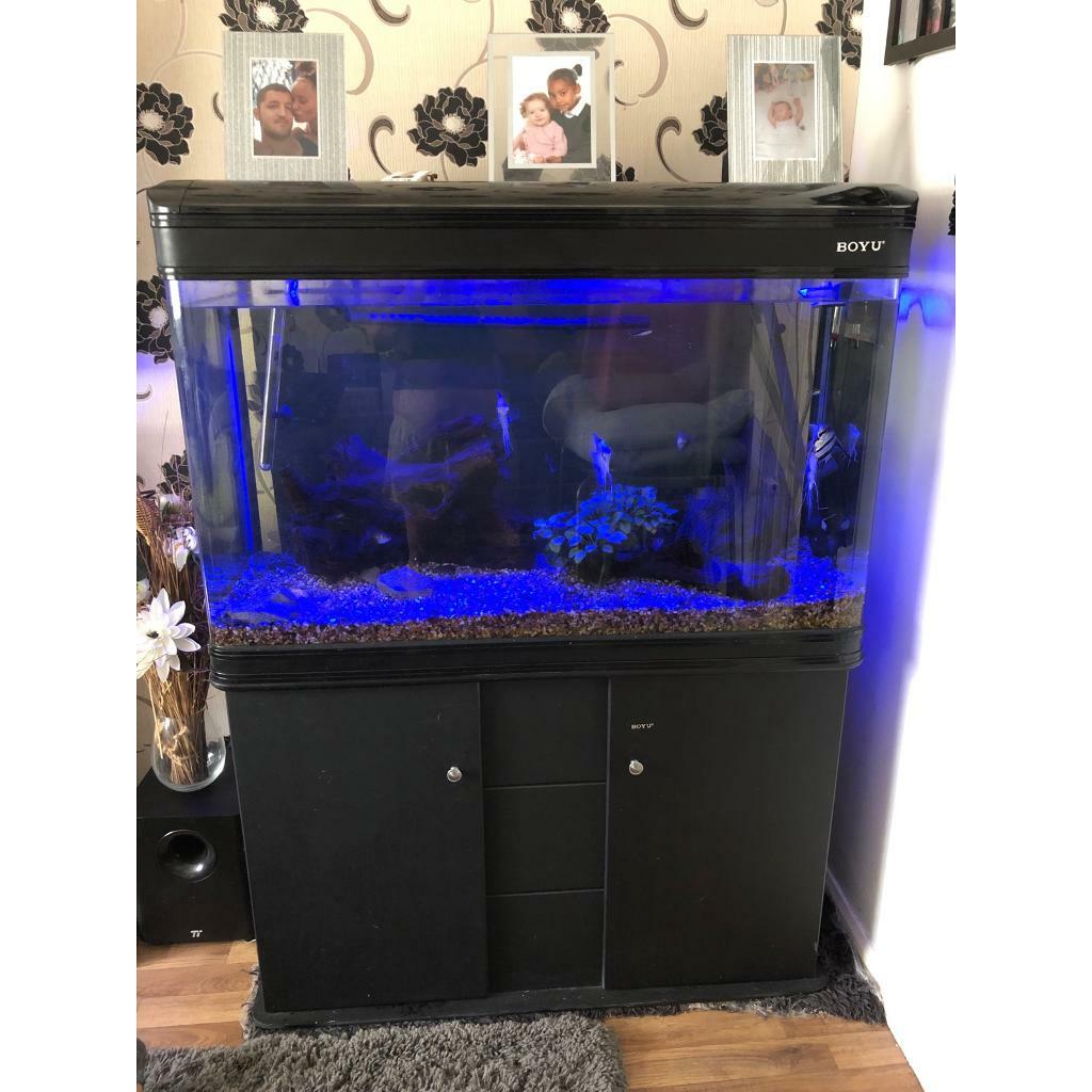 300litre boyu fish tank in Llanedeyrn, Cardiff Gumtree