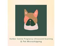 Humber Mobile Canine Ultrasound Scanning and Microchipping