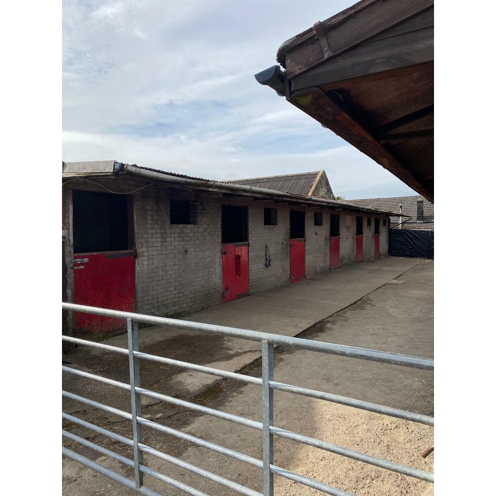 DIY ,livery &part livery stables available in Barrhead, Glasgow Gumtree