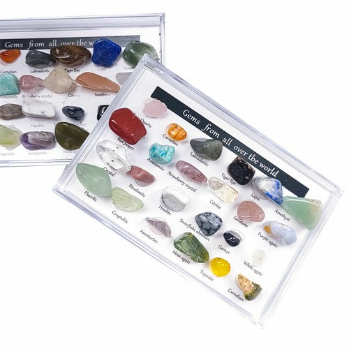 24X Rock Quartz Mineral Collection Display Case Science Teaching Geography Stone