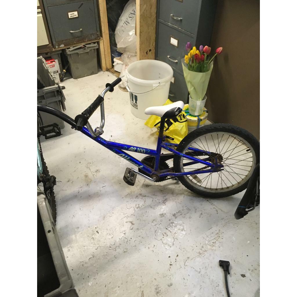 alley cat bike trailer