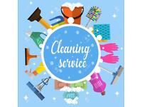 Offices, nurseries and comercial cleaner
