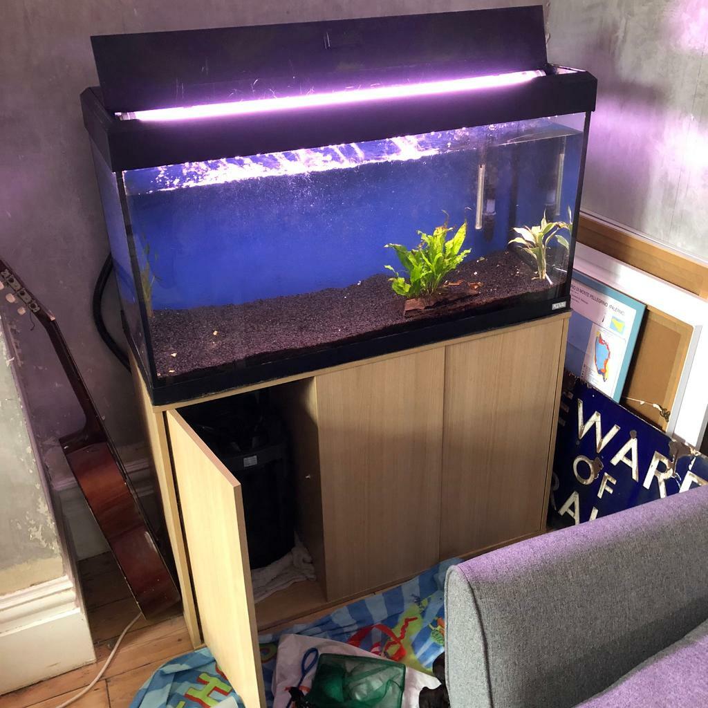 Fluval Roma 200 Litre Fish Tank Aquarium With Stand in London