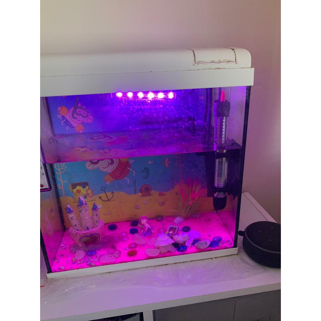 peppa pig fish tank in Bargoed, Caerphilly Gumtree