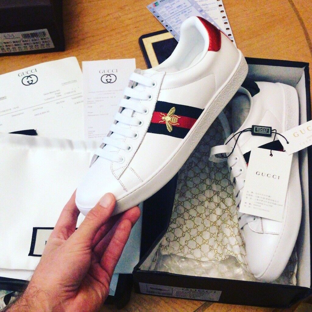 Brand new Gucci aces bee boxed shoes | in Brighton, East Sussex | Gumtree