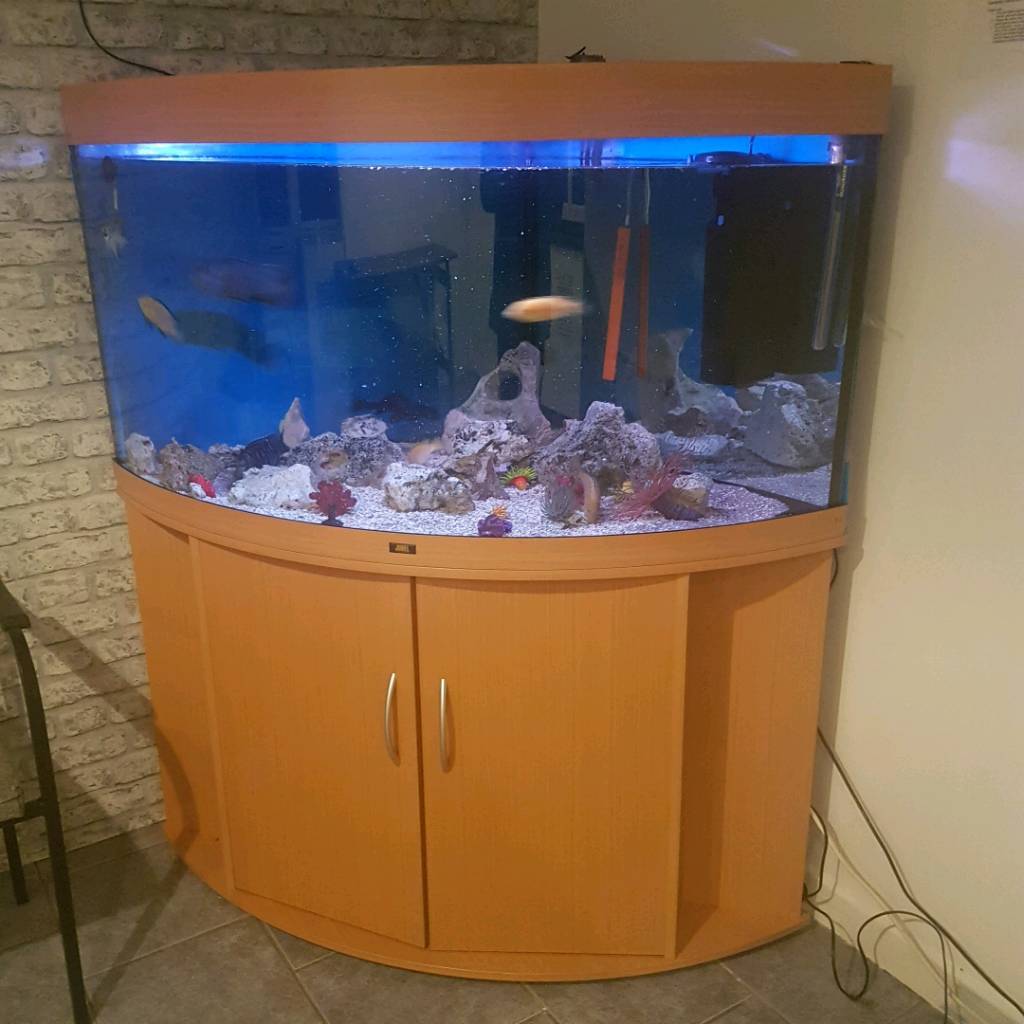 Fish Tank in Caerphilly Gumtree