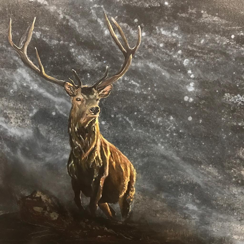Stag original oil painting in Cowdenbeath, Fife Gumtree