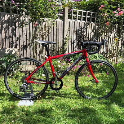 islabike luath 24 for sale