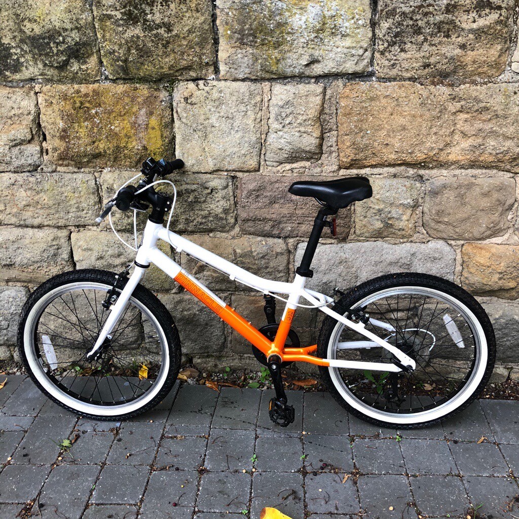 pinnacle ash 20 inch