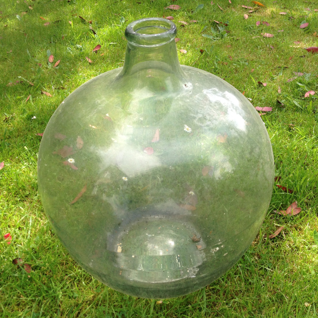 Vintage Large Glass Terrarium Carboy Bottle Garden (circa 1960) in