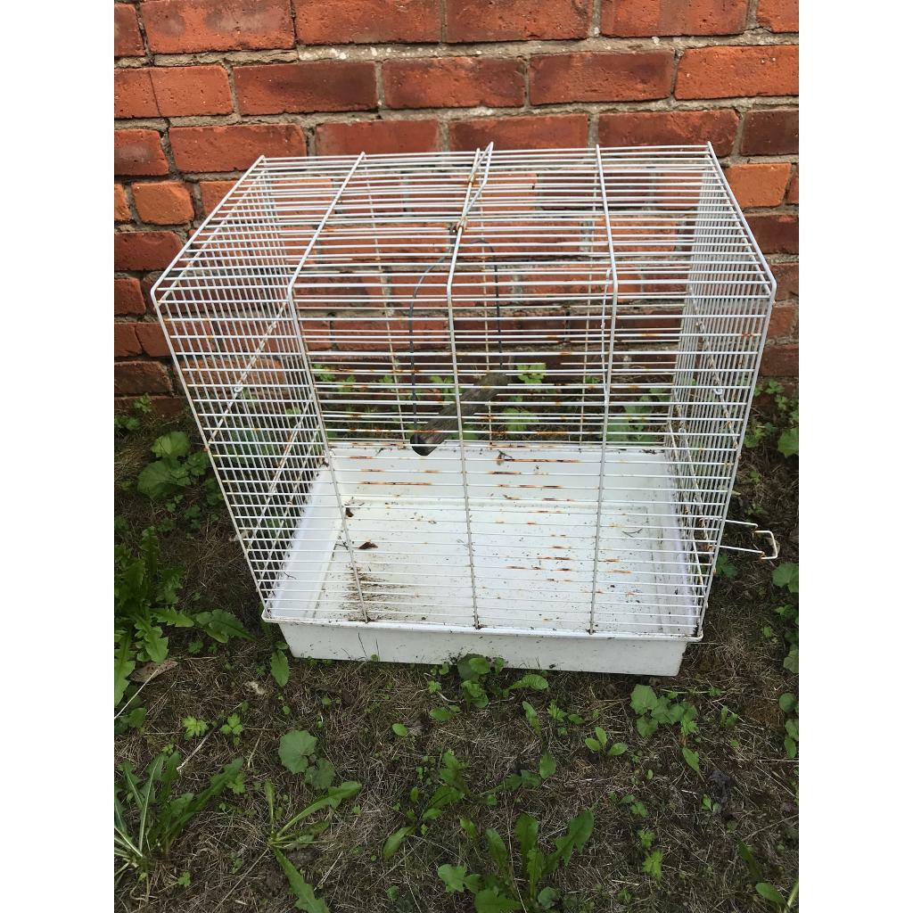 Used bird cage in Middlesbrough, North Yorkshire Gumtree