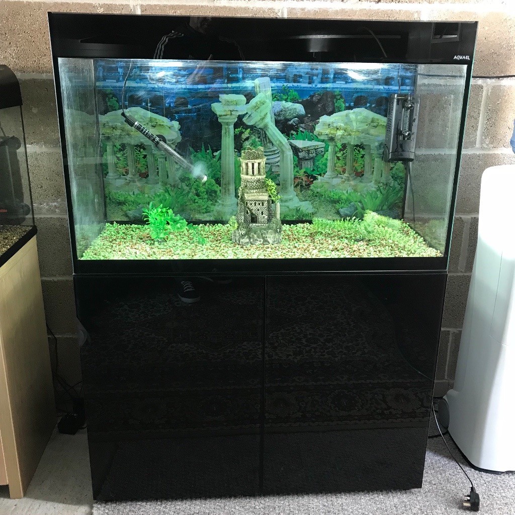 200l fish tank 3.5 ft long full set up with stand 2 x lights filter
