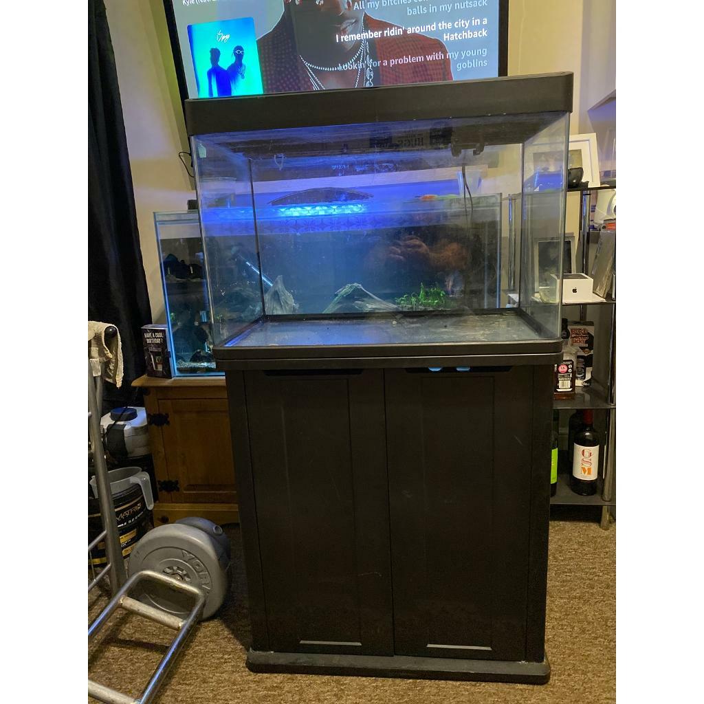 Fish tank aquarium for sale/swaps in Norwich, Norfolk Gumtree