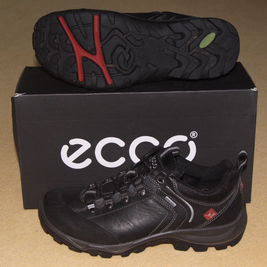 ecco harrogate