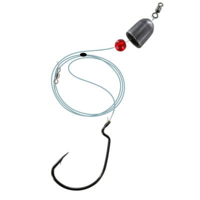 Jenzi Carolina Rig Fluorocarbon With Offset Hook And Bullet Zander Perch