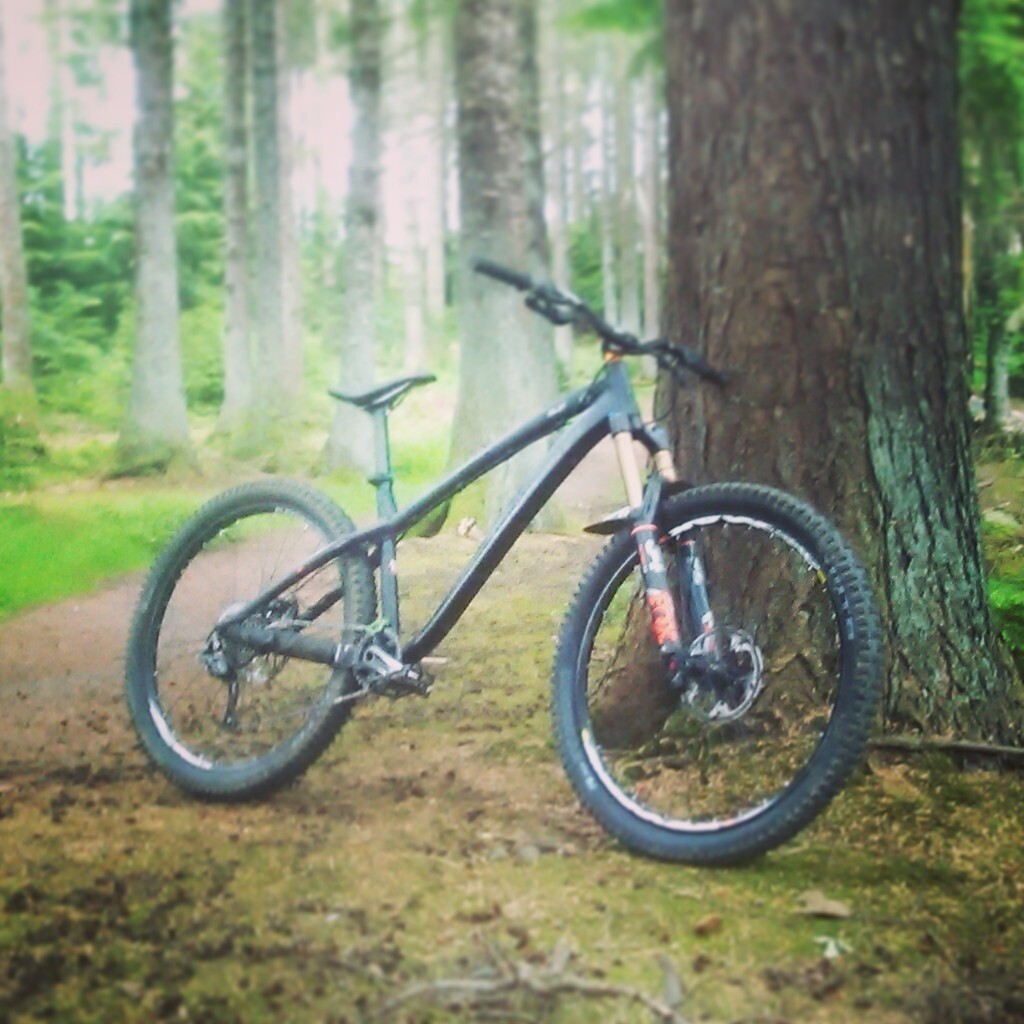 dartmoor hardtail frame