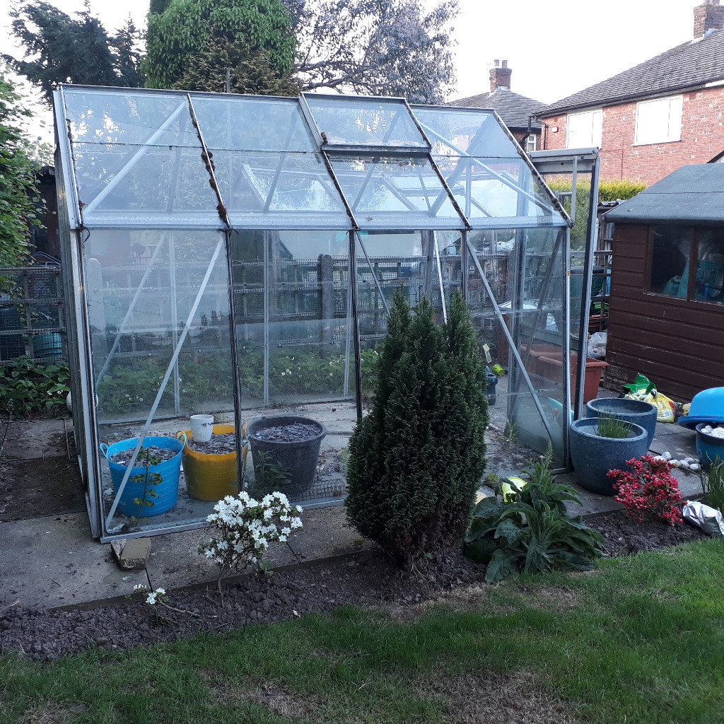 Greenhouse, Free to good home in Hazel Grove, Manchester Gumtree