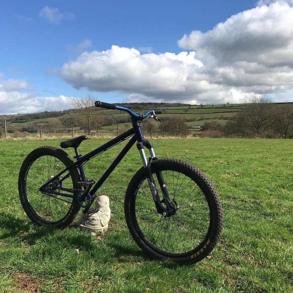 extended beach cruiser