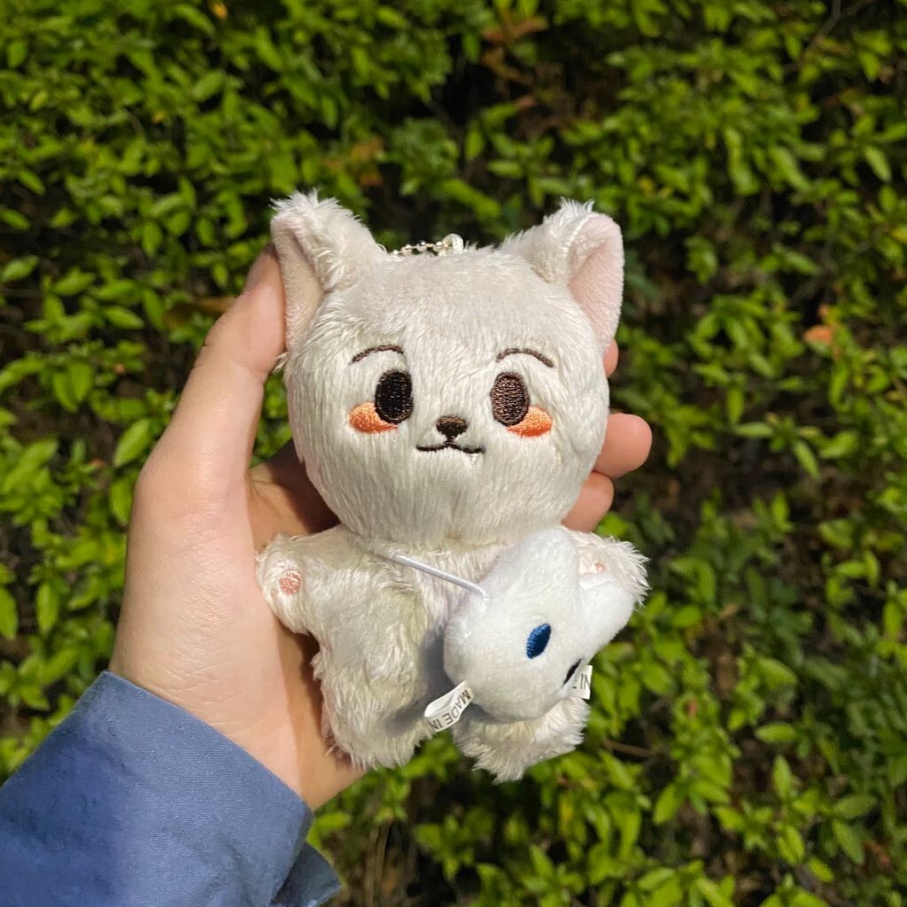 nct dream renjun 10cm renmyang grey fox cat doll new