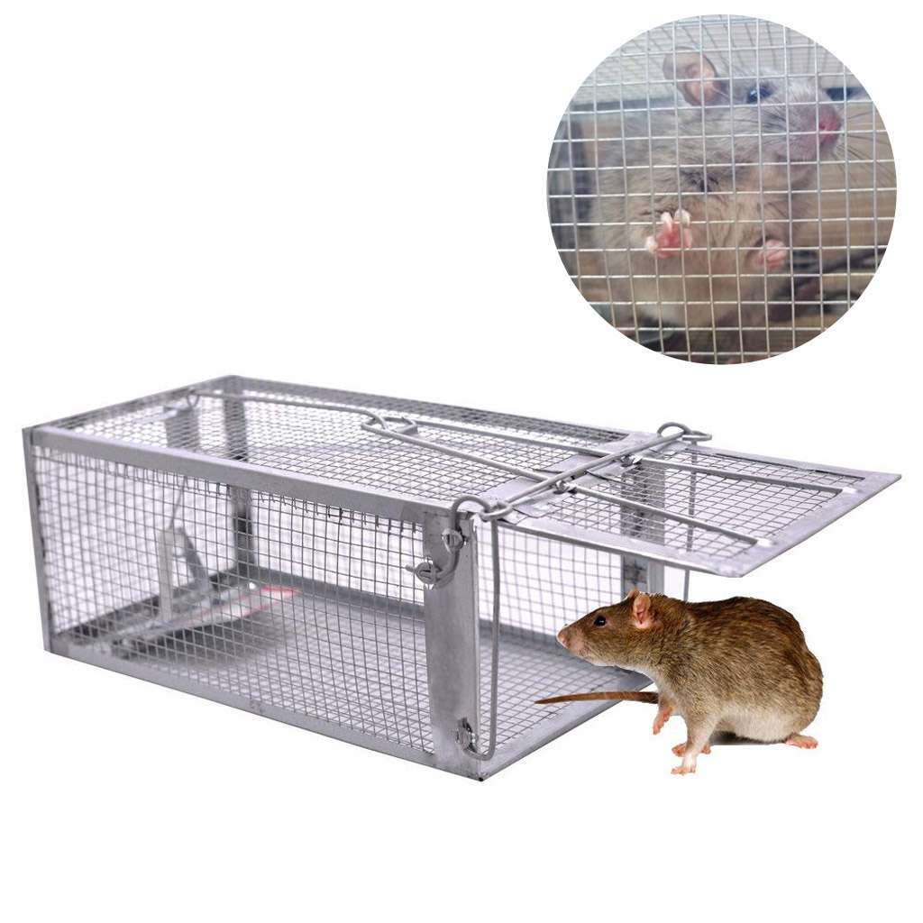 Humane Rat Trap Cage Small Live Animal Pest Rodent Mouse Control Catch Bait Trap