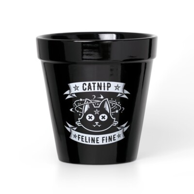 Alchemy Gothic GPP3 Catnip Plant Pot Kitchenware Ceramic Feline Cat In/out 5 