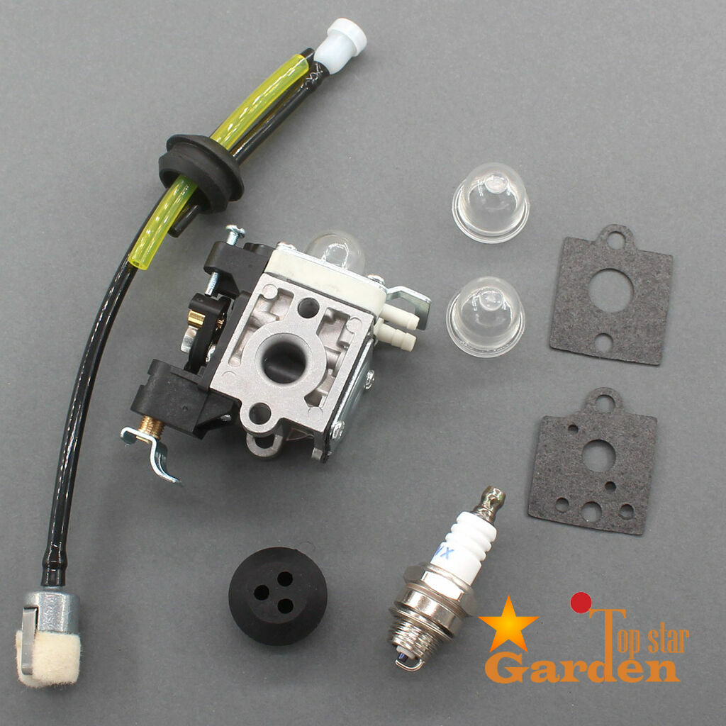 Carburetor Fuel Maintenance Kit Echo PB250LN ES250 RBK106… Verde