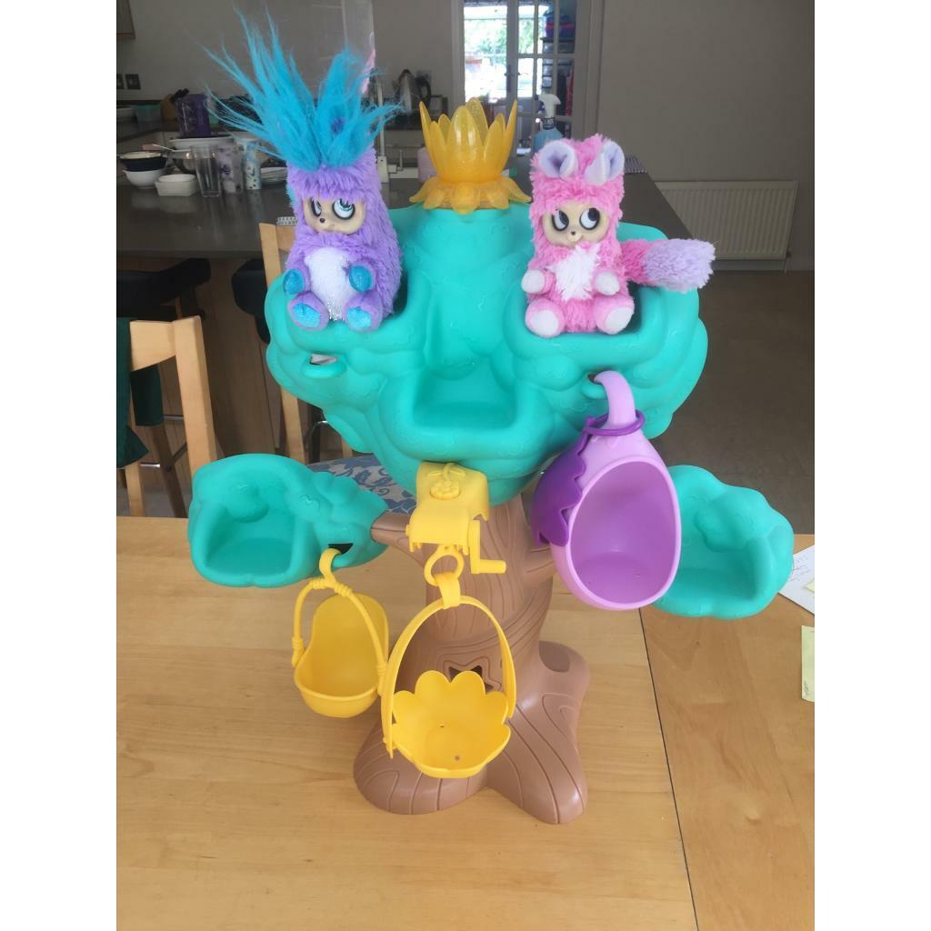 bush baby dream tree