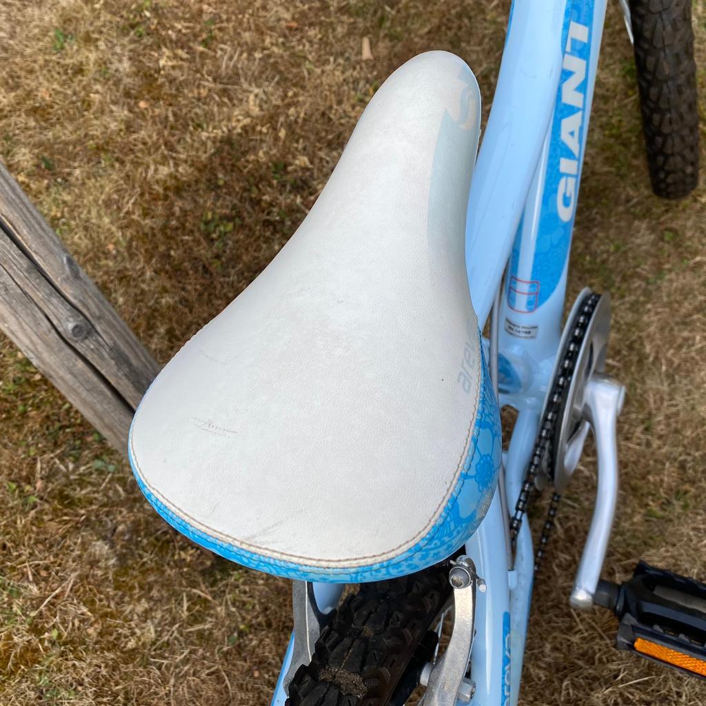 Giant Areva 20” Kids Bike Mountain/XC 