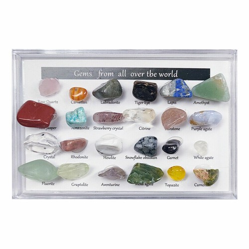 24X Rock Quartz Mineral Collection Display Case Science Teaching Geography Stone