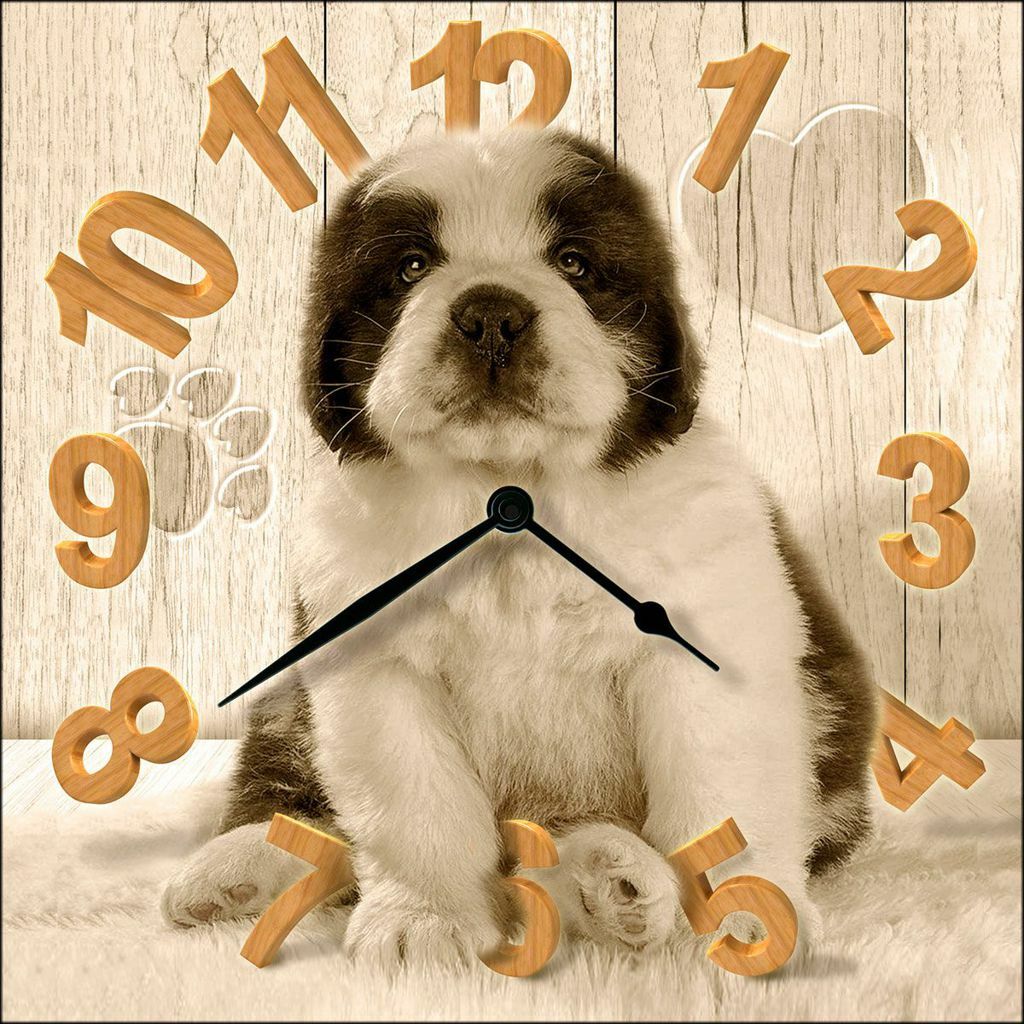 Orologio Da Parete Quadrato Quarzo Muro Puppy Dimensioni 30x30cm sus