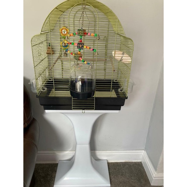 budgie cages gumtree