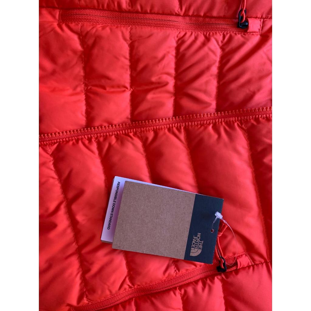 Northface Womens New Ashton Jacket 