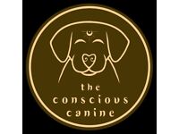 Help with your dog! Qualified and compassionate canine training in Edinburgh