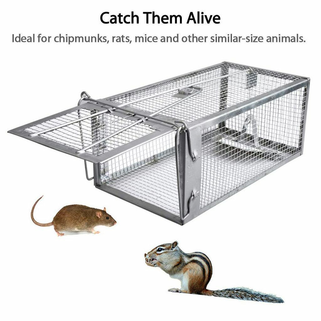 3pc Rat Trap Cage Small Live Animal Pest Rodent Mouse Control Catch Hunting Trap