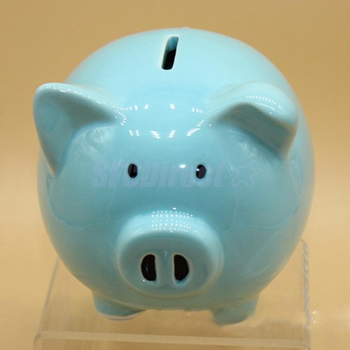 pig money box toy