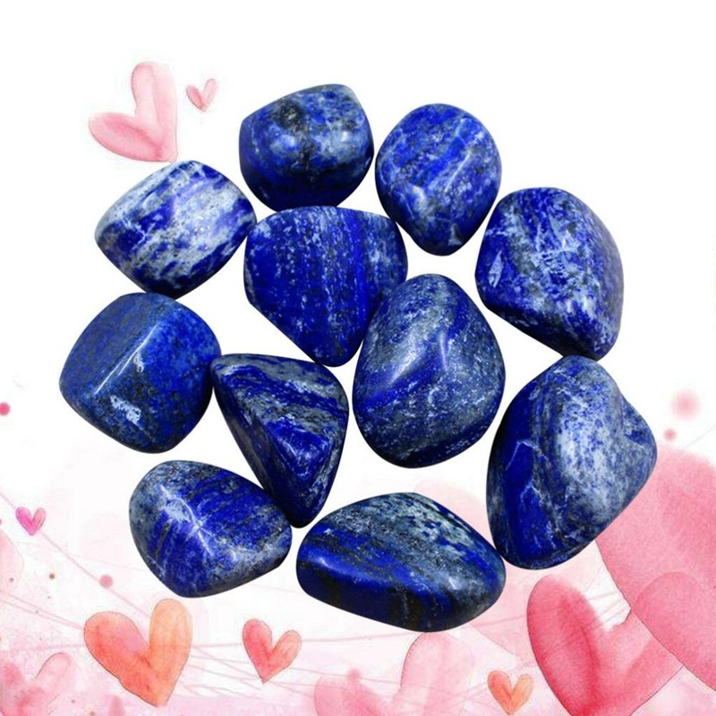 10 Stück Lapislazuli Steine ​​Bones Naturkristalle Dekor für Aquarium nach Hause