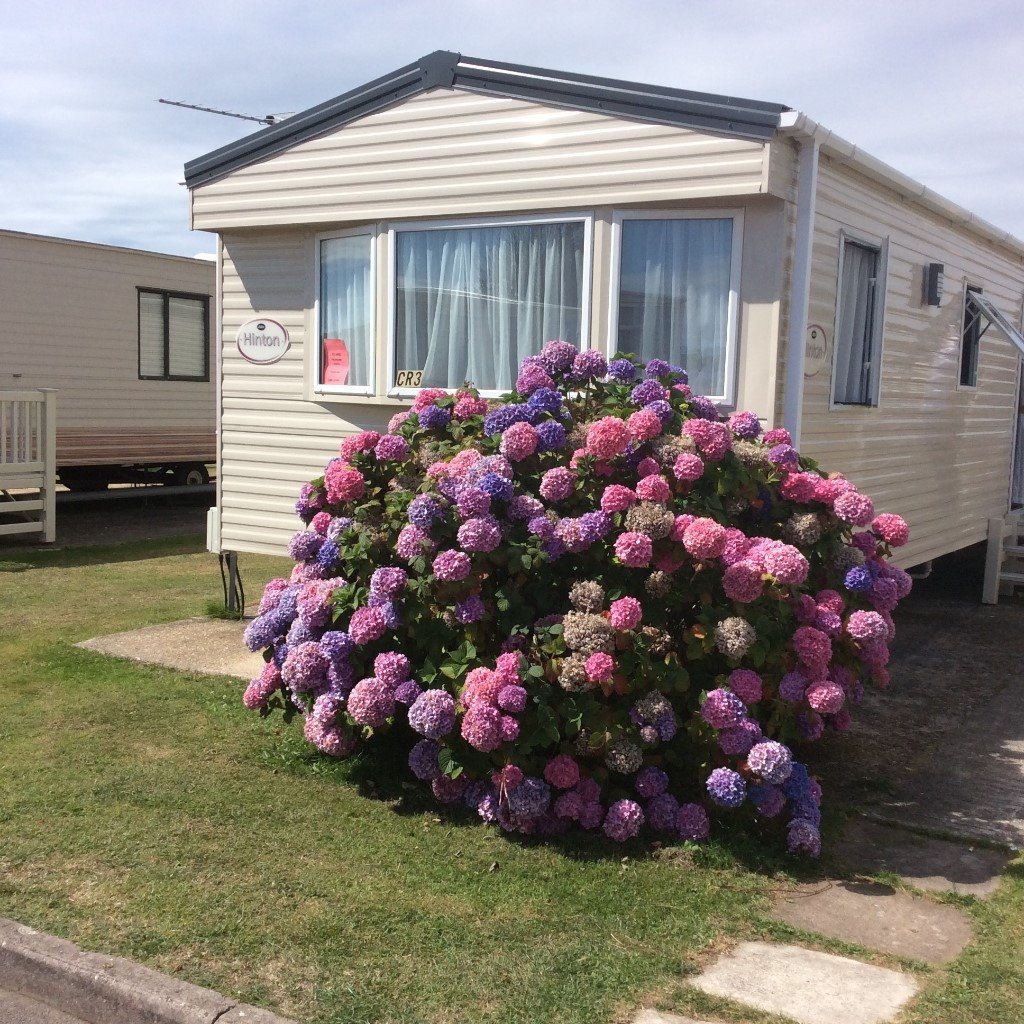 6 BERTH CARAVAN 5* HOBURNE NAISH, NEW MILTON, HAMPSHIRE/DORSET BORDER NO SMOKING & NO PETS