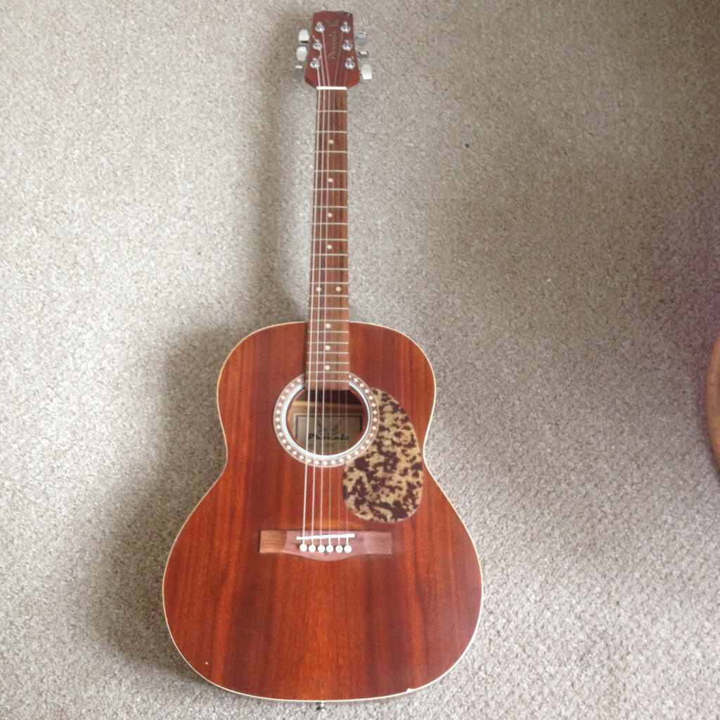 PHOENIX ACOUSTIC GUITAR in Newtown St Boswells, Scottish Borders