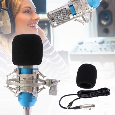 Blue Professional Condenser Microphone Kit w/ Shockproof Frame For recording