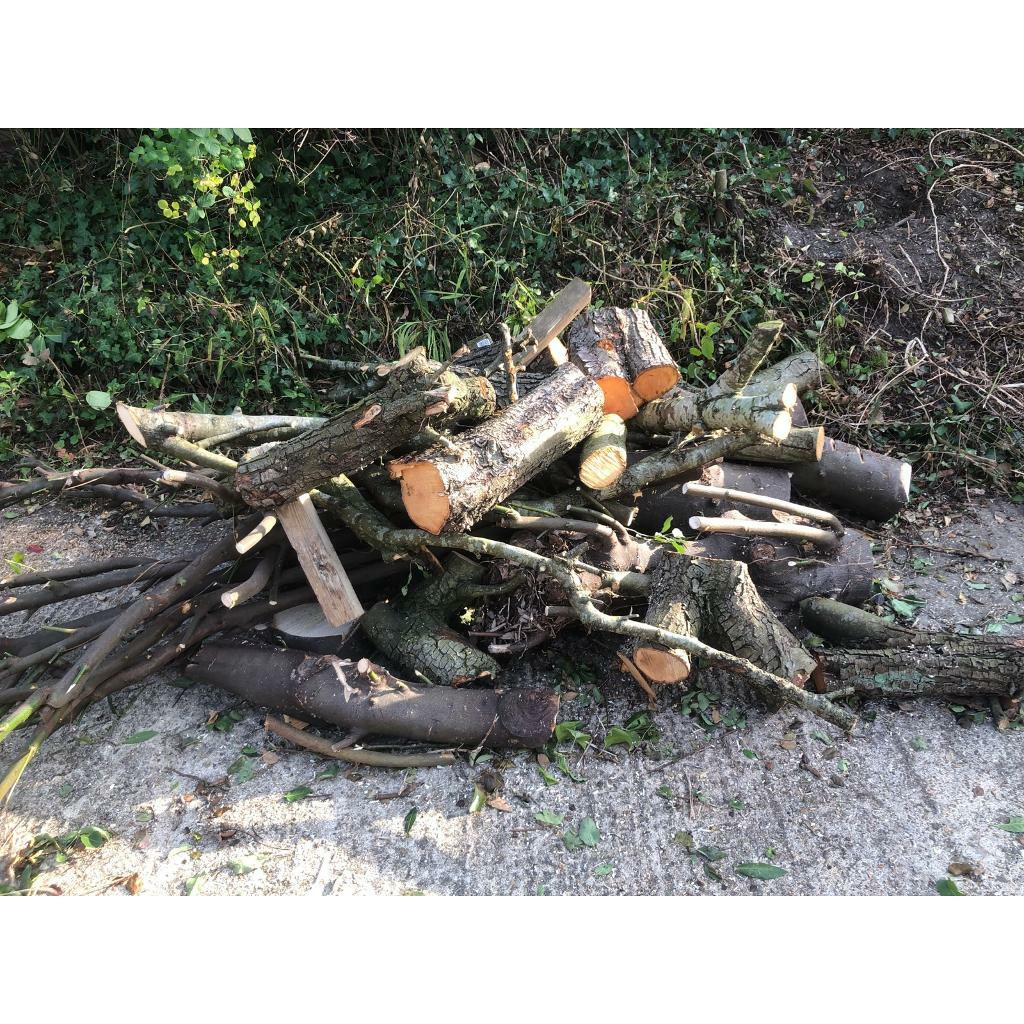 Logs / firewood in Broadstone, Dorset Gumtree