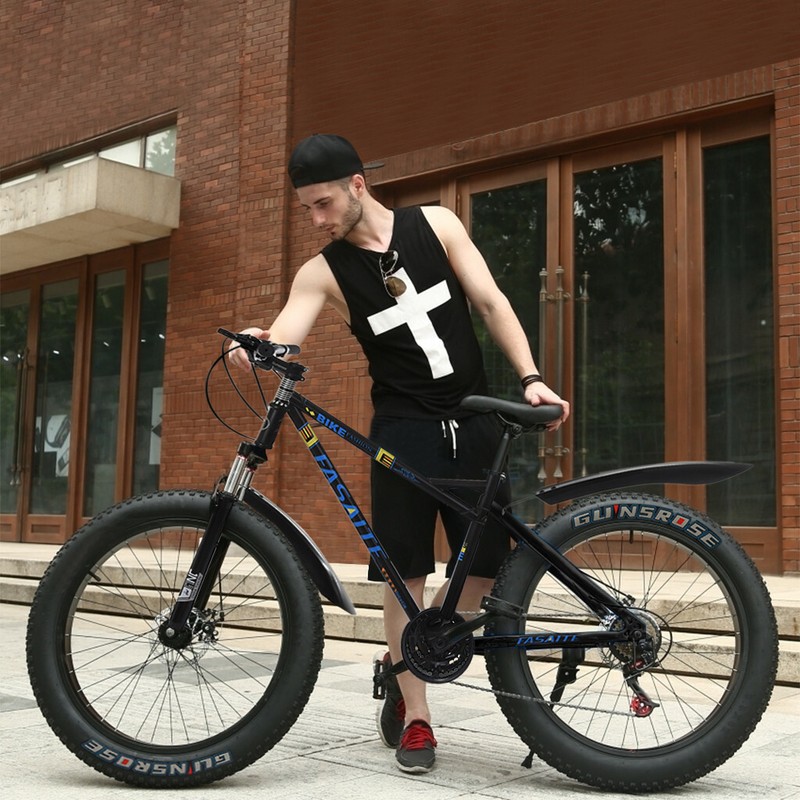 evo cruiser bike