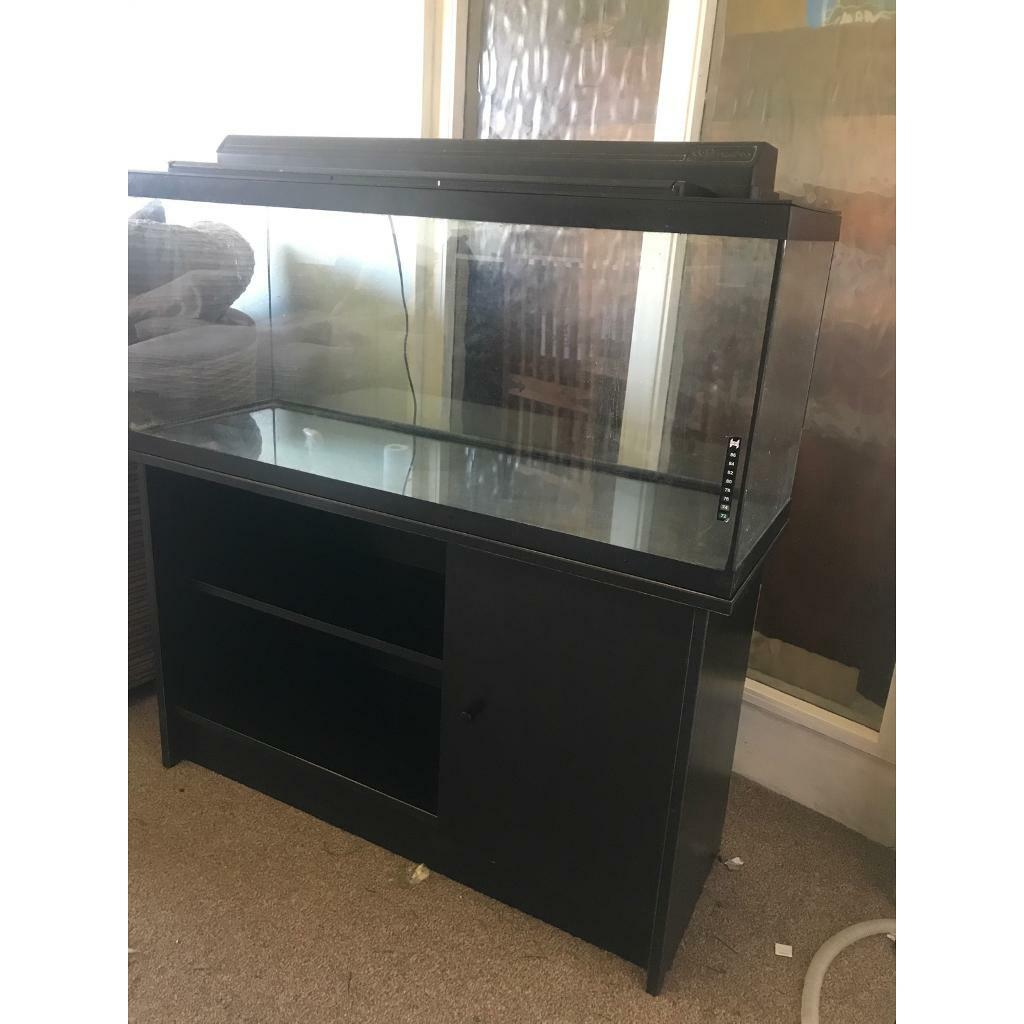 110L fish tank with stand, lid and light in Dalgety Bay, Fife Gumtree