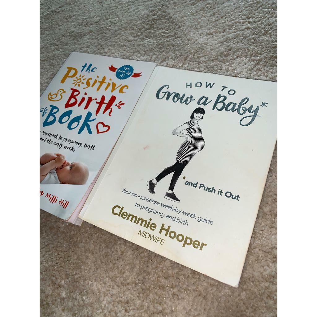Pregnancy Books The Positive Birth Book How To Grow A Baby And Push It Out Rrp 30 In Plympton Devon Gumtree - 