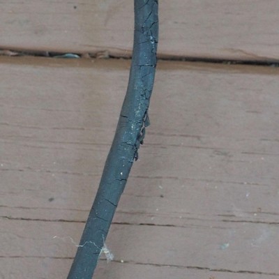 Vintage Dictograph 50 Watt Tube Amp: Blues Harp Guitar Harmonica 1950's