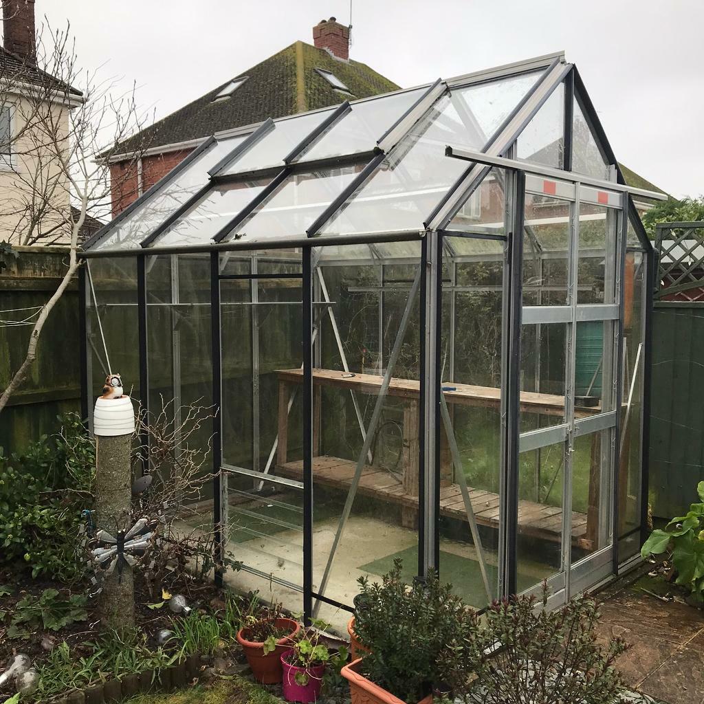 Toughened glass greenhouse in Bournemouth, Dorset Gumtree