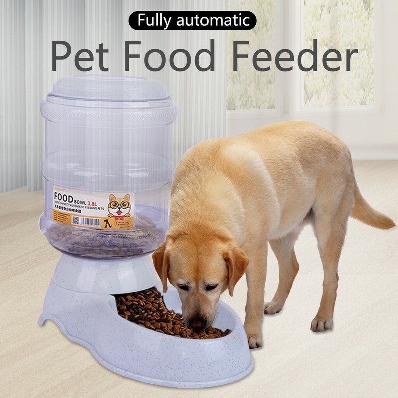 gravity feed dog feeder