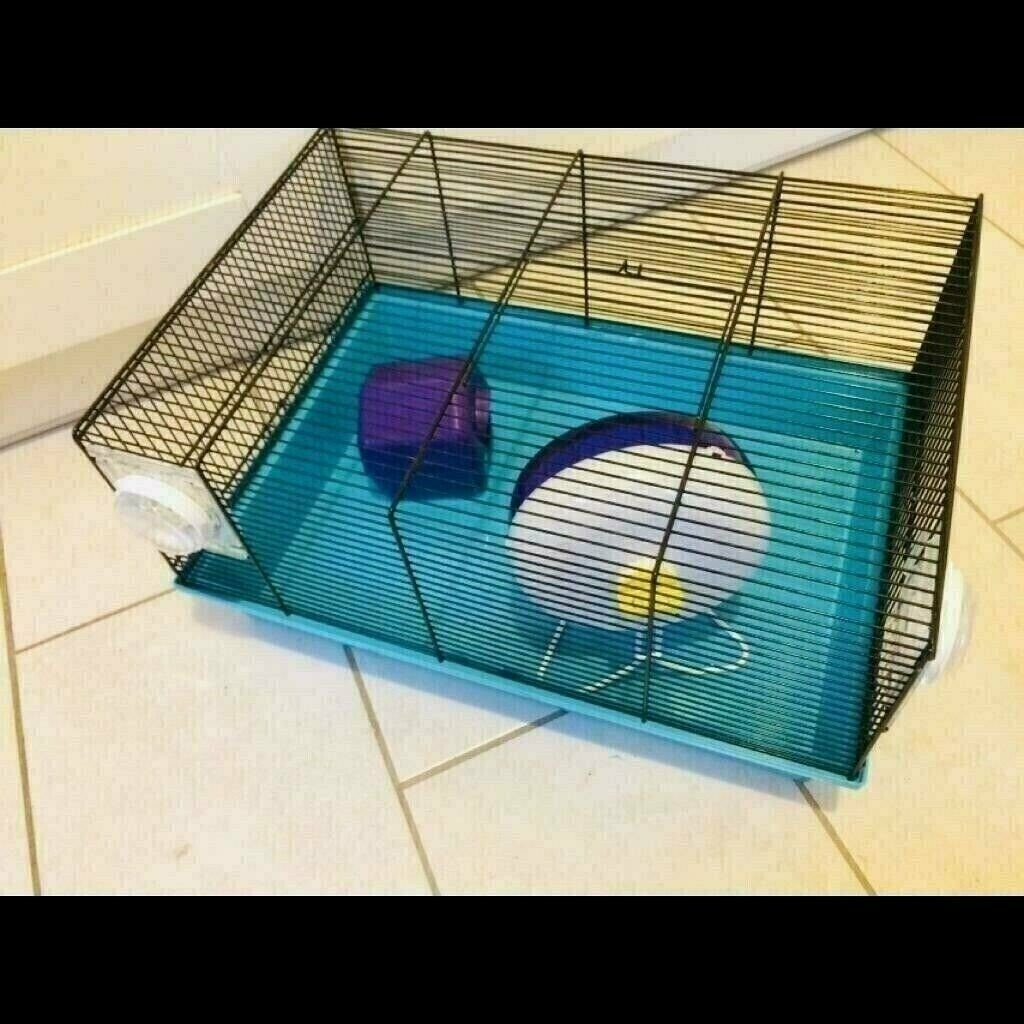 Medium size hamster cage in Bournemouth, Dorset Gumtree