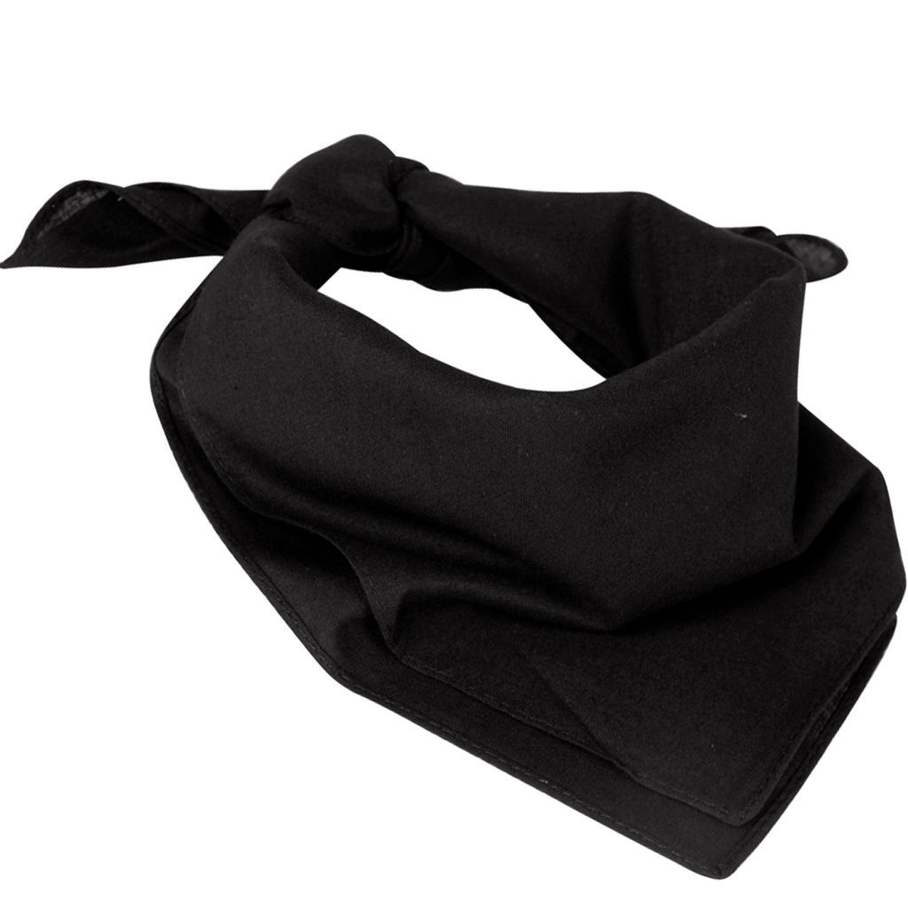 Ralph Lauren Scarves for Men