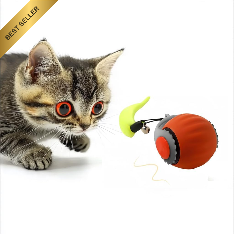 Interactive Cat Toy Balls Electric USB Rechargeable, 150Mah Battery, 1M/S Speed,
